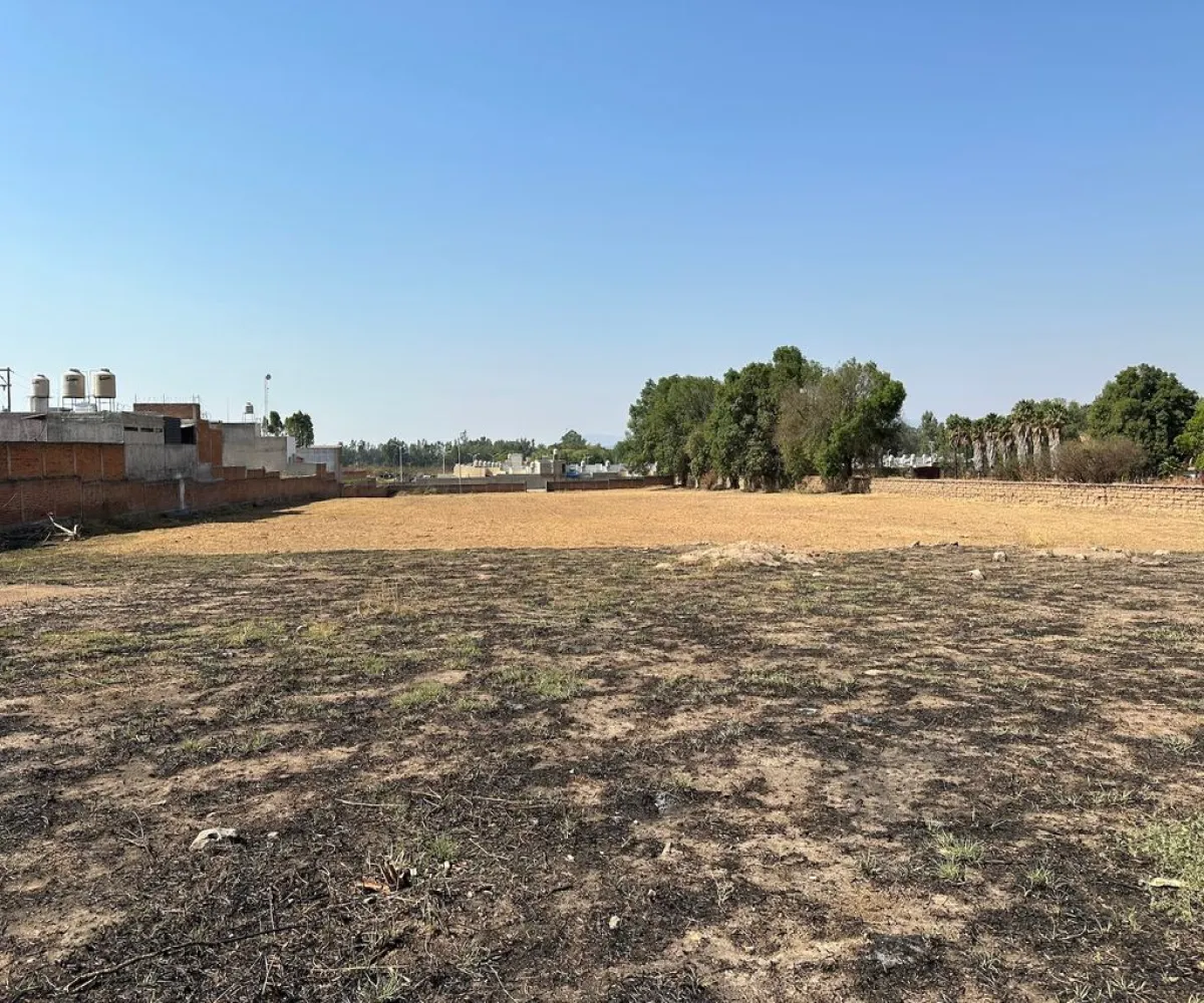 Terreno En Venta,Real de Tesistán,Doctores S/N, Zapopan, Jalisco 45200,Doctores ,pRTVJc5