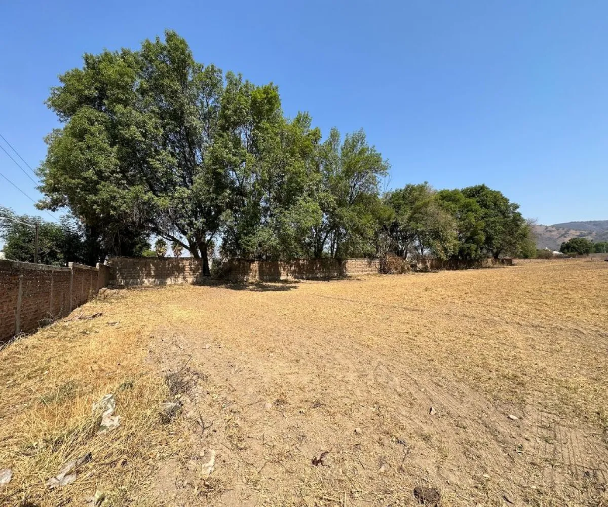 Terreno En Venta,Real de Tesistán,Doctores S/N, Zapopan, Jalisco 45200,Doctores ,pRTVJc5