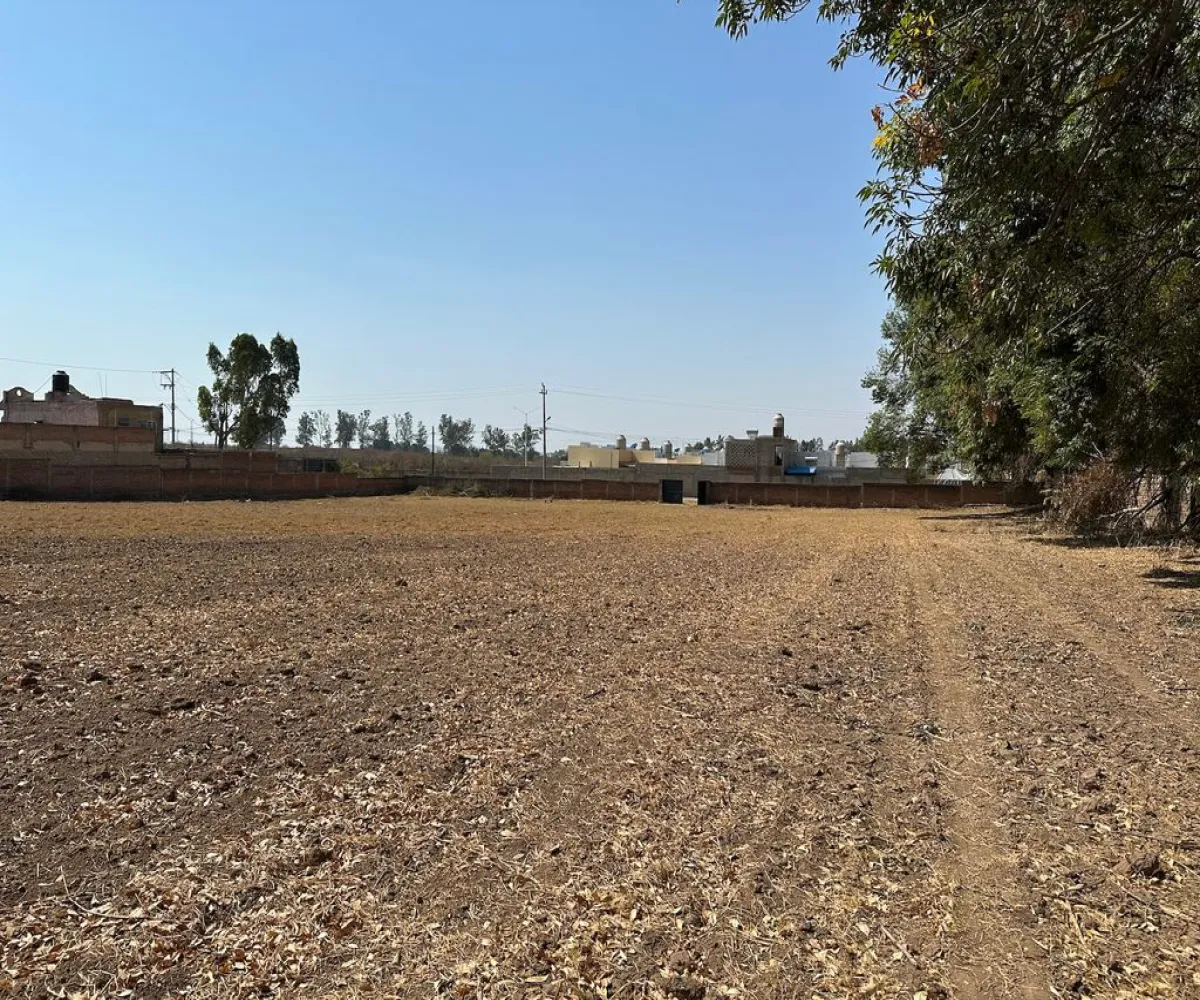 Terreno En Venta,Real de Tesistán,Doctores S/N, Zapopan, Jalisco 45200,Doctores ,pRTVJc5