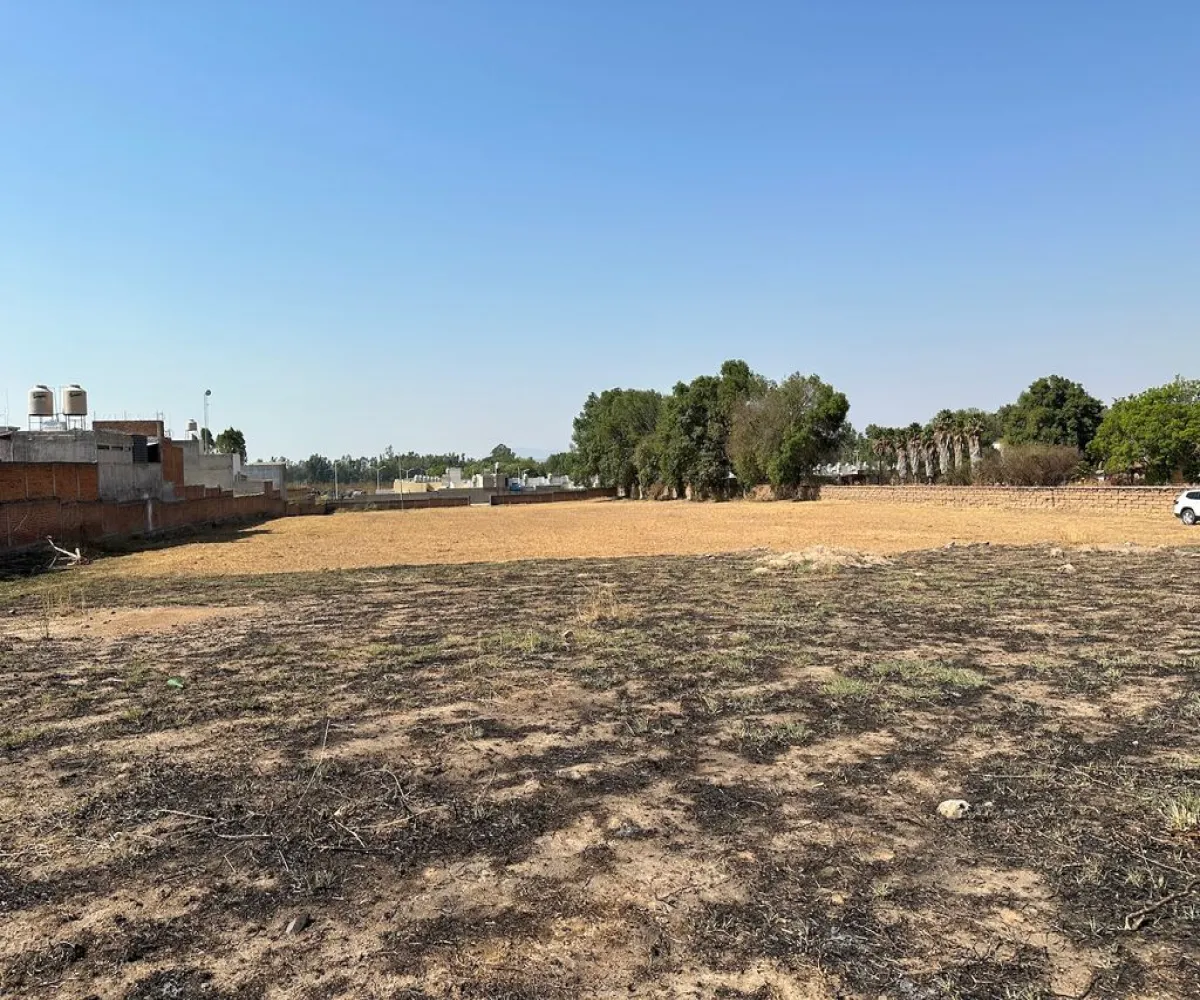 Terreno En Venta,Real de Tesistán,Doctores S/N, Zapopan, Jalisco 45200,Doctores ,pRTVJc5