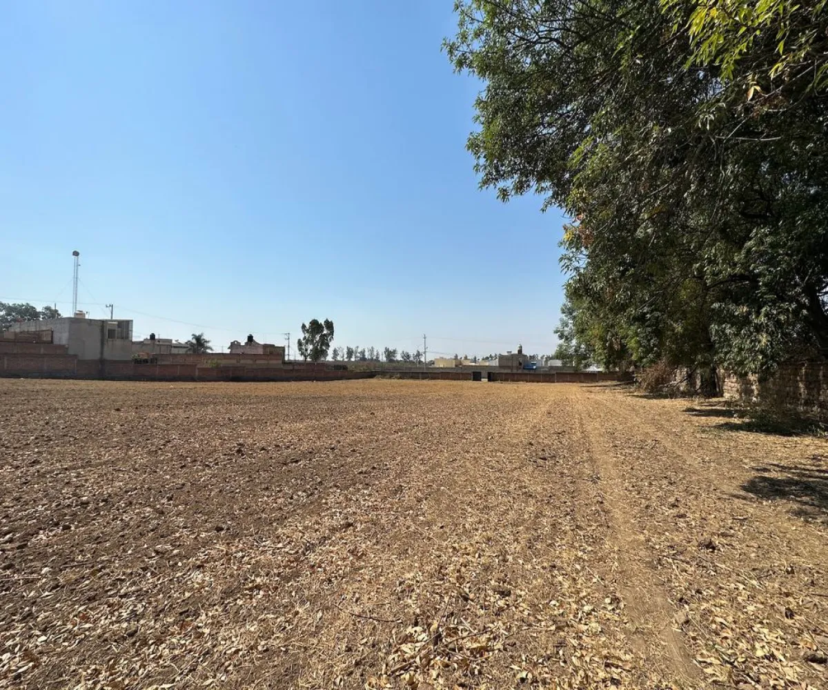 Terreno En Venta,Real de Tesistán,Doctores S/N, Zapopan, Jalisco 45200,Doctores ,pRTVJc5
