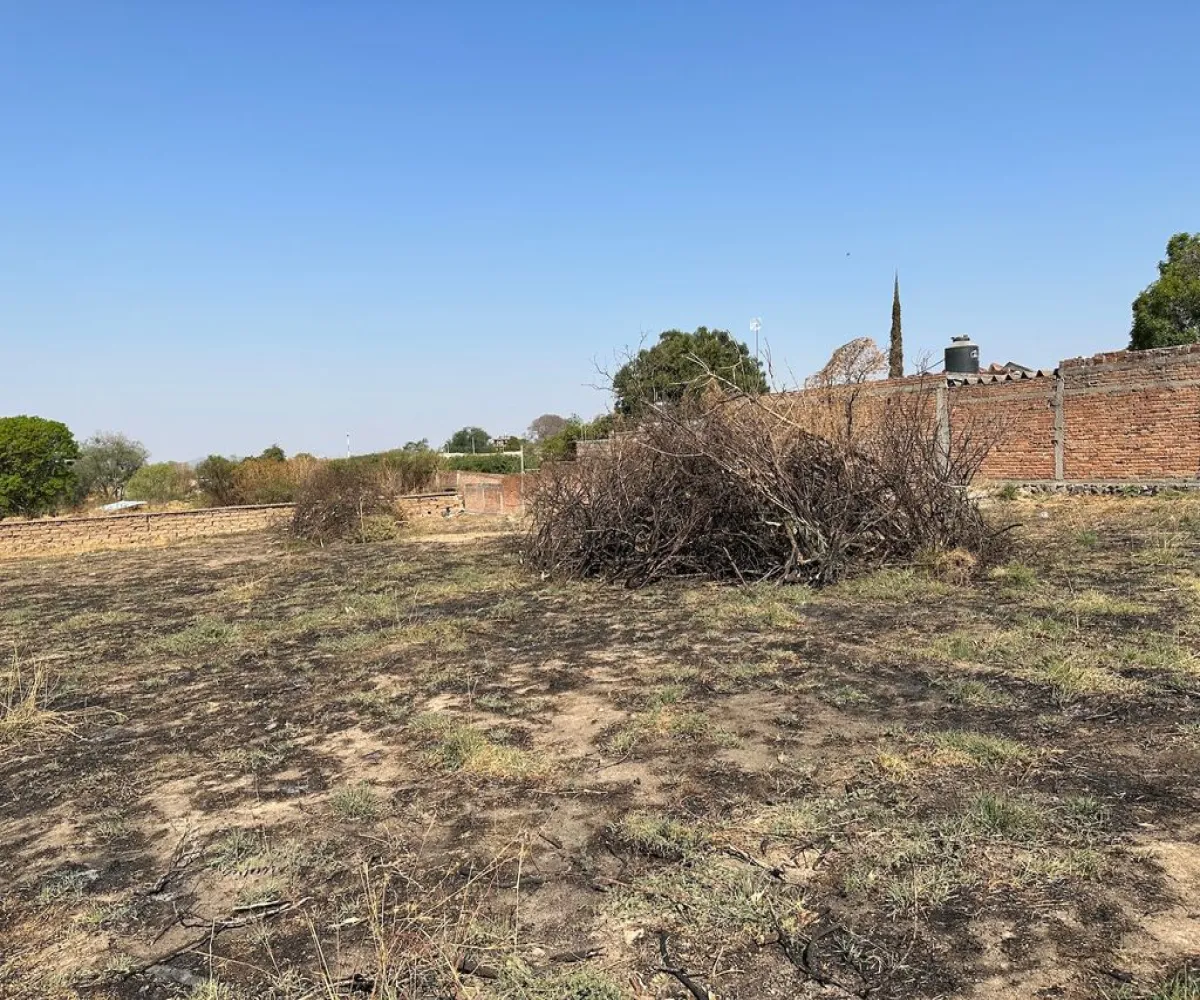 Terreno En Venta,Real de Tesistán,Doctores S/N, Zapopan, Jalisco 45200,Doctores ,pRTVJc5