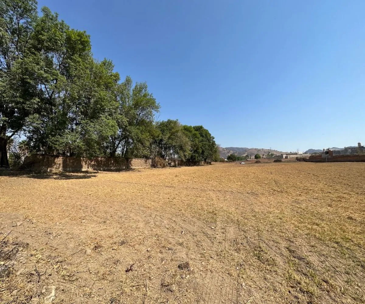 Terreno En Venta,Real de Tesistán,Doctores S/N, Zapopan, Jalisco 45200,Doctores ,pRTVJc5