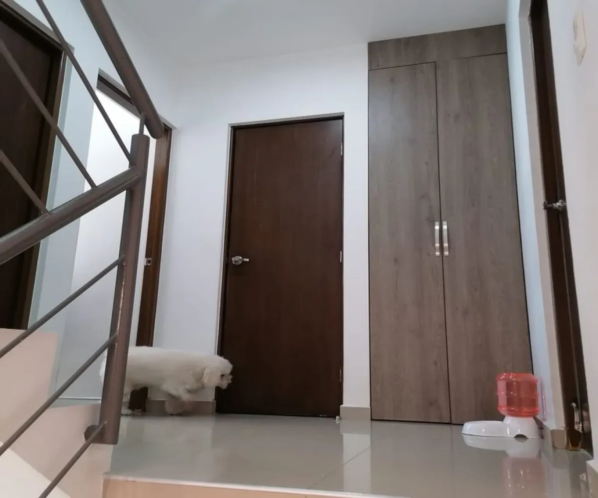 Casa En Venta,Natura Bosque Residencial,Avenida Paseo del Bosque 3428 8, Zapopan, Jalisco 45066, 5 Habitaciones,4 Baños,Avenida Paseo del Bosque,1,p82EVSa