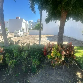 Terreno En Venta,Las Jarretaderas,Avenida Mexico 500, Bahía de Banderas, Nayarit 63735,Avenida Mexico,ppo3nMC