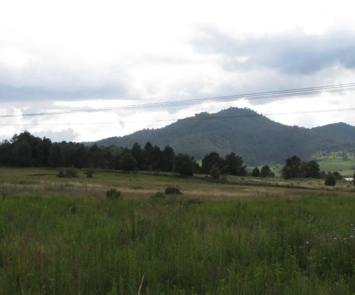 Terreno En Venta,Tapalpa,Hacienda San Francisco S/N, Tapalpa, Jalisco 49340,Hacienda San Francisco,pRdrz3F Terreno En Venta,Tapalpa,Hacienda San Francisco S/N, Tapalpa, Jalisco 49340,Hacienda San Francisco,pRdrz3F