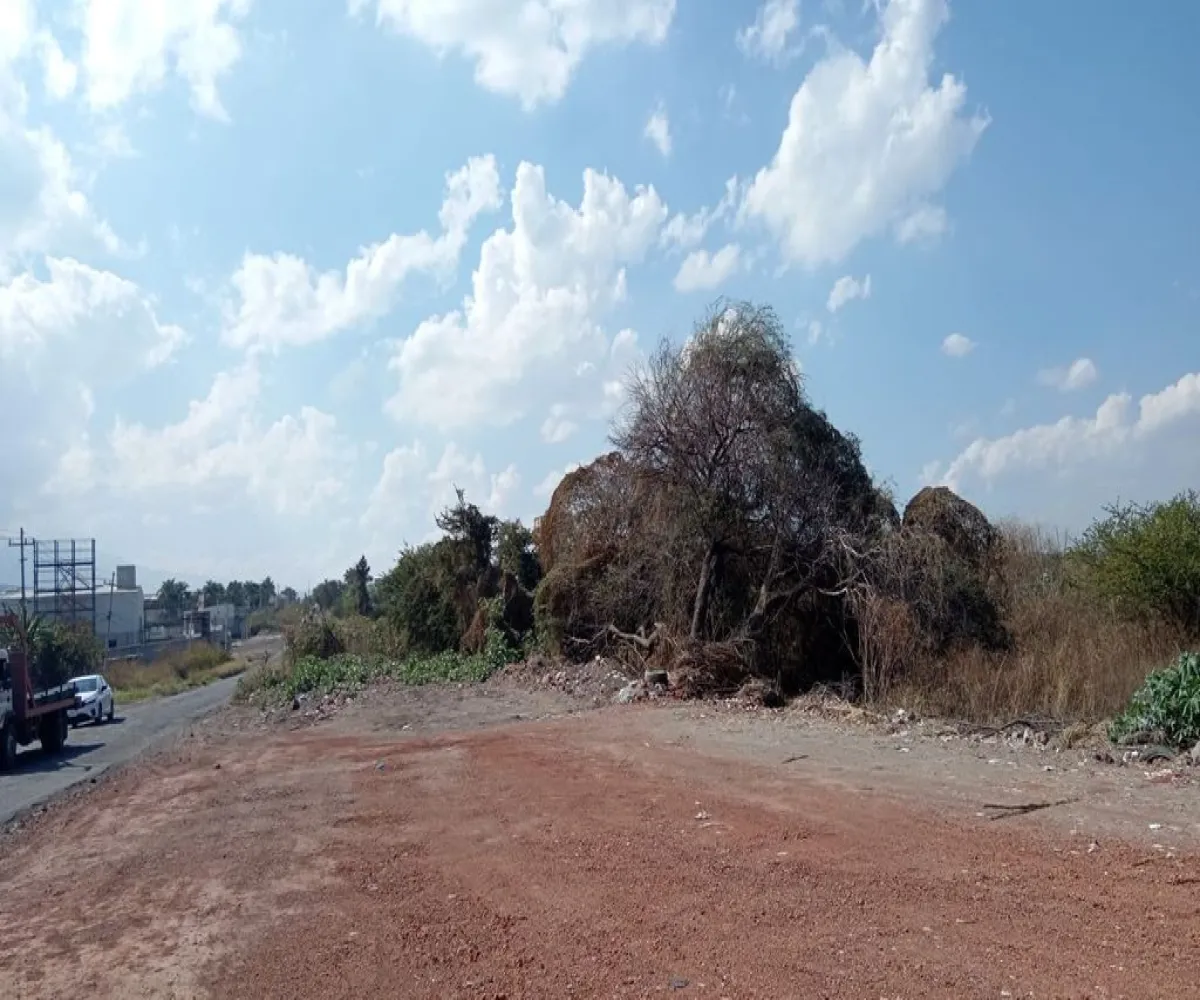 Terreno En Venta,la calera,P-23 Z-1 Vereda de las Dalias S/N, Tlajomulco de Zúñiga, Jalisco 45678,P-23 Z-1 Vereda de las Dalias,paQk8nk