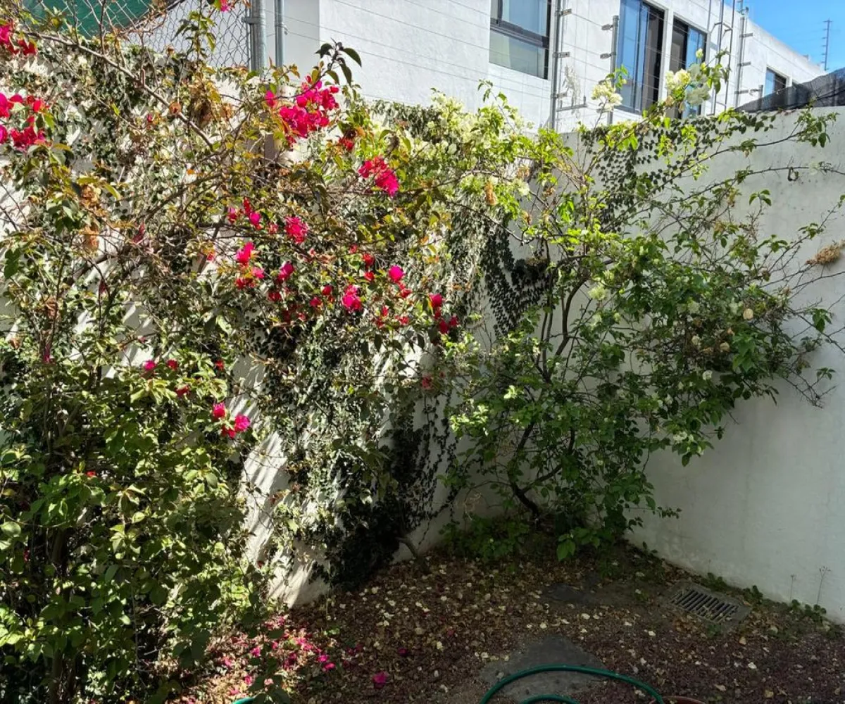 Casa En Venta,Villas Belenes,Avenida Venustiano Carranza 1201, Zapopan, Jalisco 45150, 3 Habitaciones,1 Baño,Avenida Venustiano Carranza,1,pNBAfk3