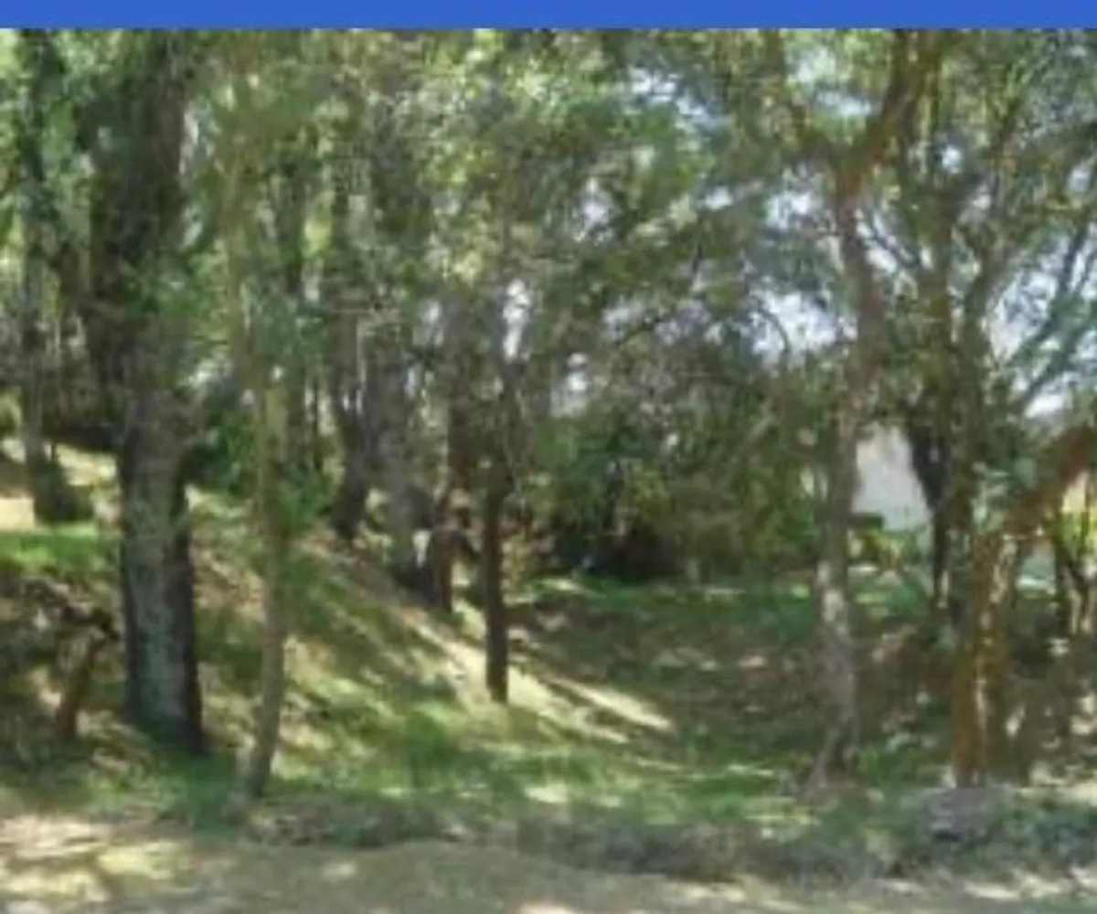 Terreno En Venta,Club de golf los encinos 00, Fraccionamiento y Club de Golf los Encinos, State of Mexico 52005, Club de golf los encinos,pV46QPQ