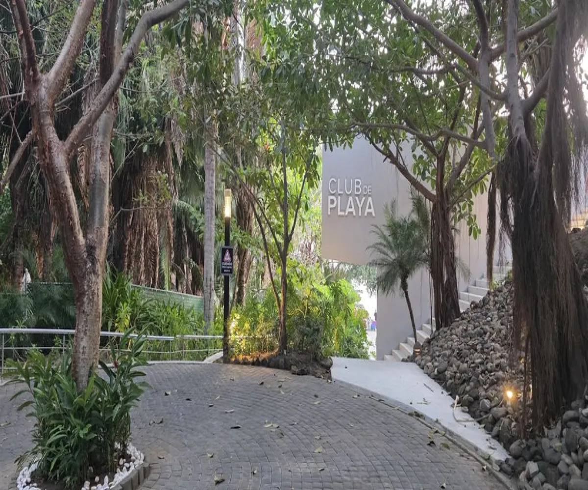 Terreno En Venta,Camino de Punta Mita S/N, Bahía de Banderas, Nayarit 63734,Camino de Punta Mita,pl3Glsw