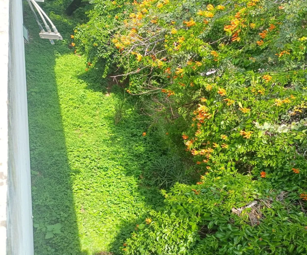 Casa En Venta,Colinas de Huentitán,Avenida Privada Jose Ramon 651, Guadalajara, Jalisco 44398, 3 Habitaciones,2 Baños,Avenida Privada Jose Ramon,2,pu0W8X3