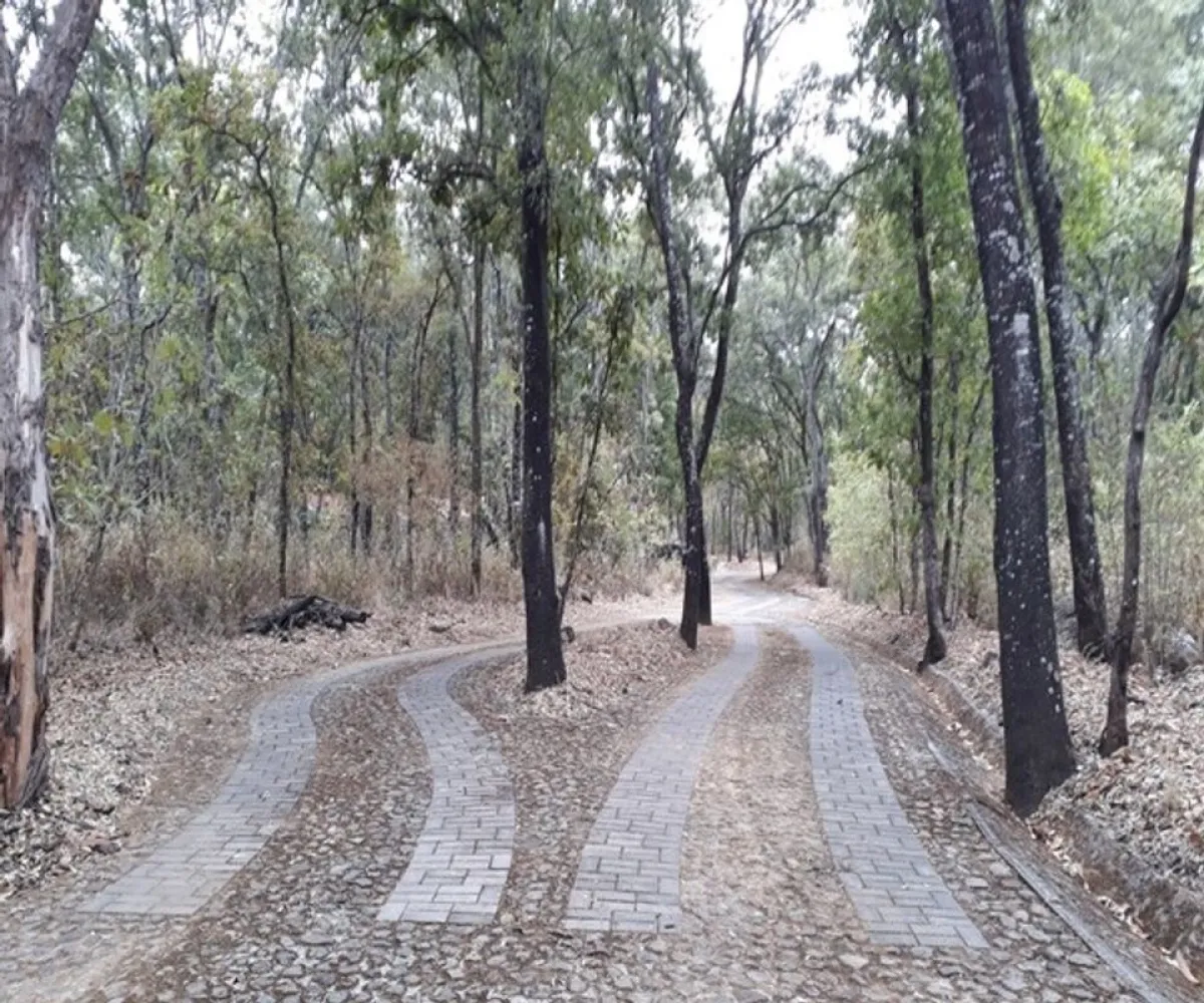 Casa En Venta,Unnamed Rd Fraccionamiento reserva de los encinos 1, Teuchitlán, Jalisco 46764, 3 Habitaciones,2 Baños,Unnamed Rd Fraccionamiento reserva de los encinos,1,pZOJBxR