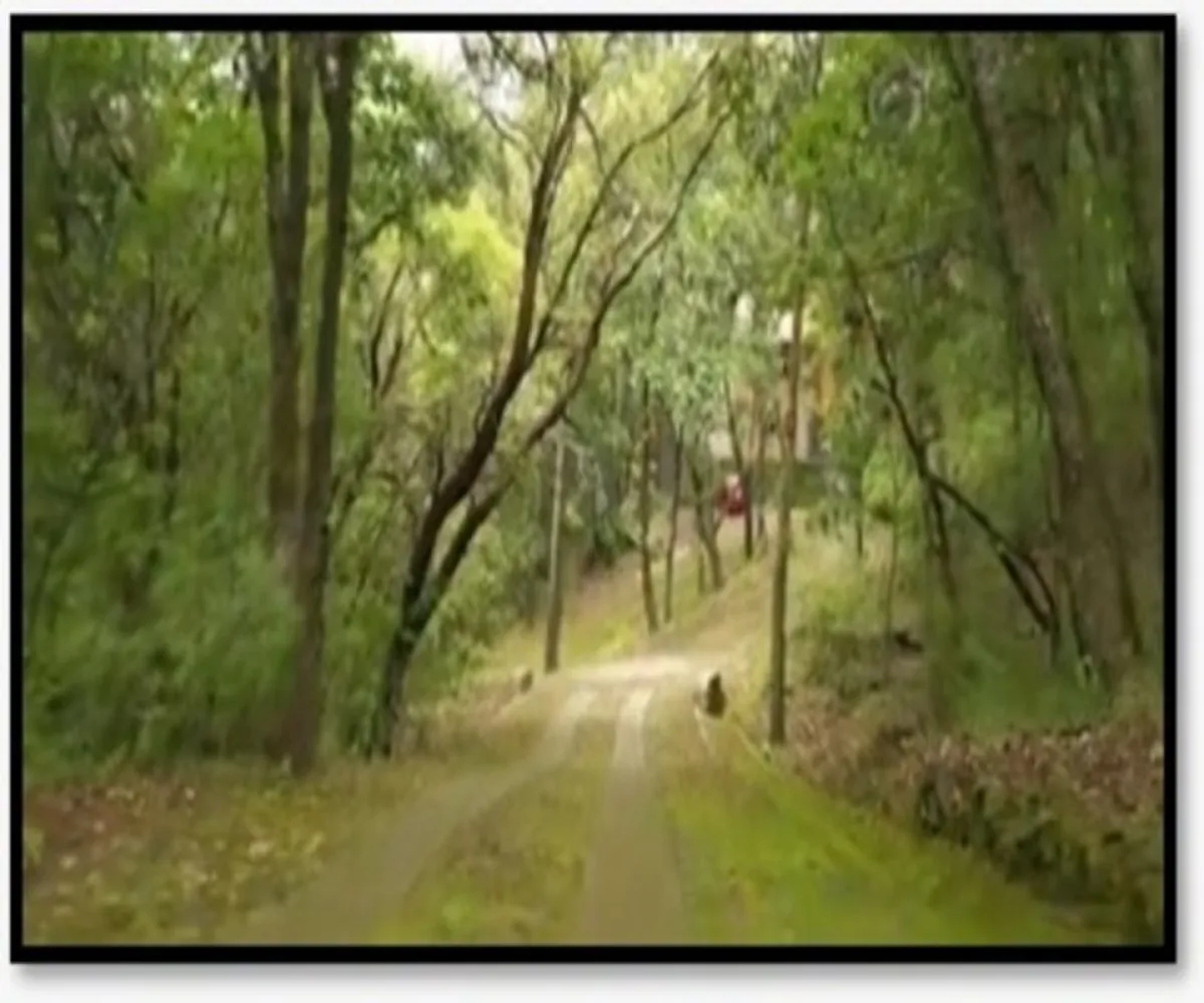 Casa En Venta,Unnamed Rd Fraccionamiento reserva de los encinos 1, Teuchitlán, Jalisco 46764, 3 Habitaciones,2 Baños,Unnamed Rd Fraccionamiento reserva de los encinos,1,pZOJBxR