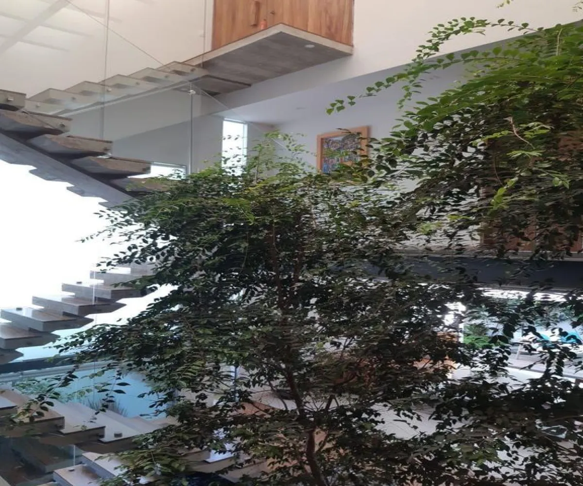 Casa En Renta,Puerta Las Lomas,Avenida de las Lomas S/N, Zapopan, Jalisco 45110, 3 Habitaciones,5 Baños,Avenida de las Lomas,1,p1GhSz7