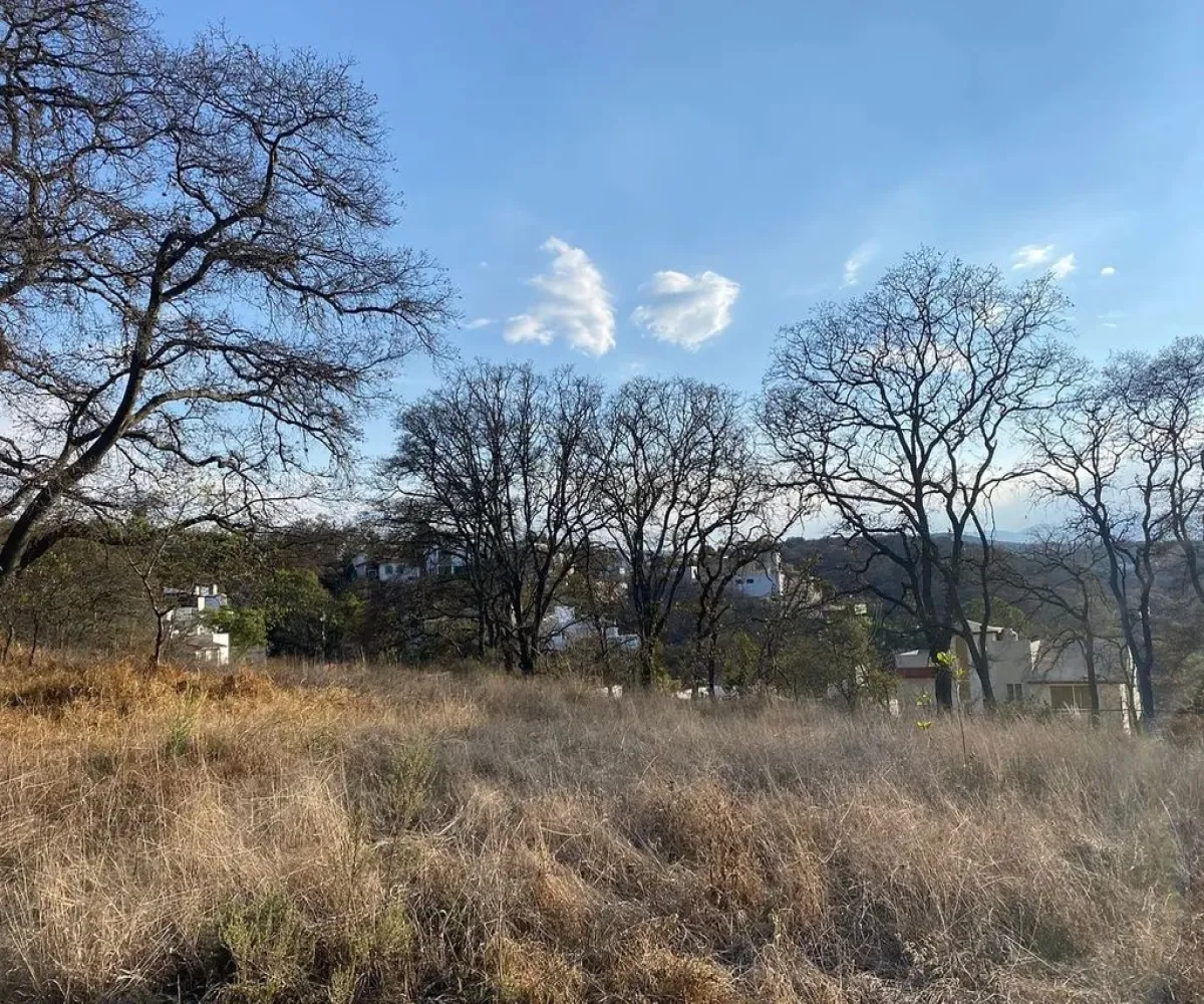 Terreno En Venta,Rancho San Juan,Acacias S/N, Atizapán de Zaragoza, México 52937,Acacias,pVnEIub