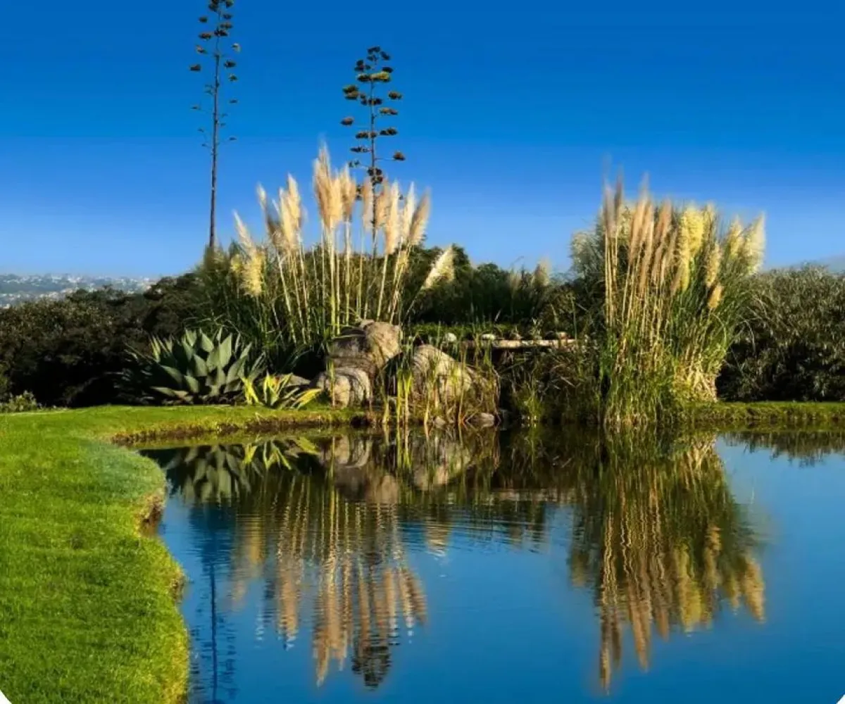 Terreno En Venta,Rancho San Juan,Acacias S/N, Atizapán de Zaragoza, México 52937,Acacias,pVnEIub