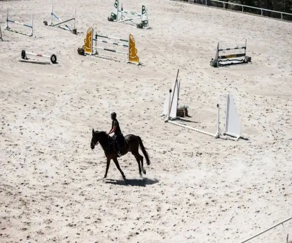 Terreno En Venta,Rancho San Juan,Acacias S/N, Atizapán de Zaragoza, México 52937,Acacias,pVnEIub