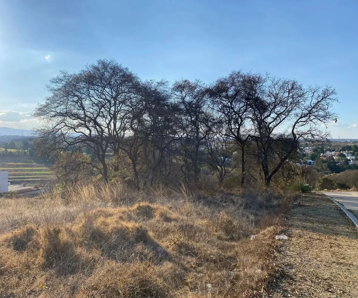 Terreno En Venta,Rancho San Juan,Acacias S/N, Atizapán de Zaragoza, México 52937,Acacias,pVnEIub