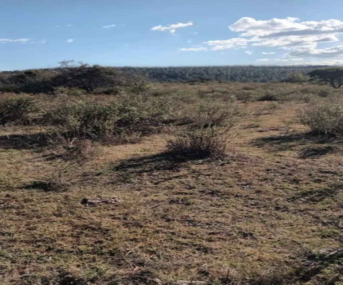 Terreno En Venta,Atemajac de Brizuela ,Atemajac de Brizuela Sn Sn, Atemajac de Brizuela, Jalisco 45790,Atemajac de Brizuela ,pA92lxU