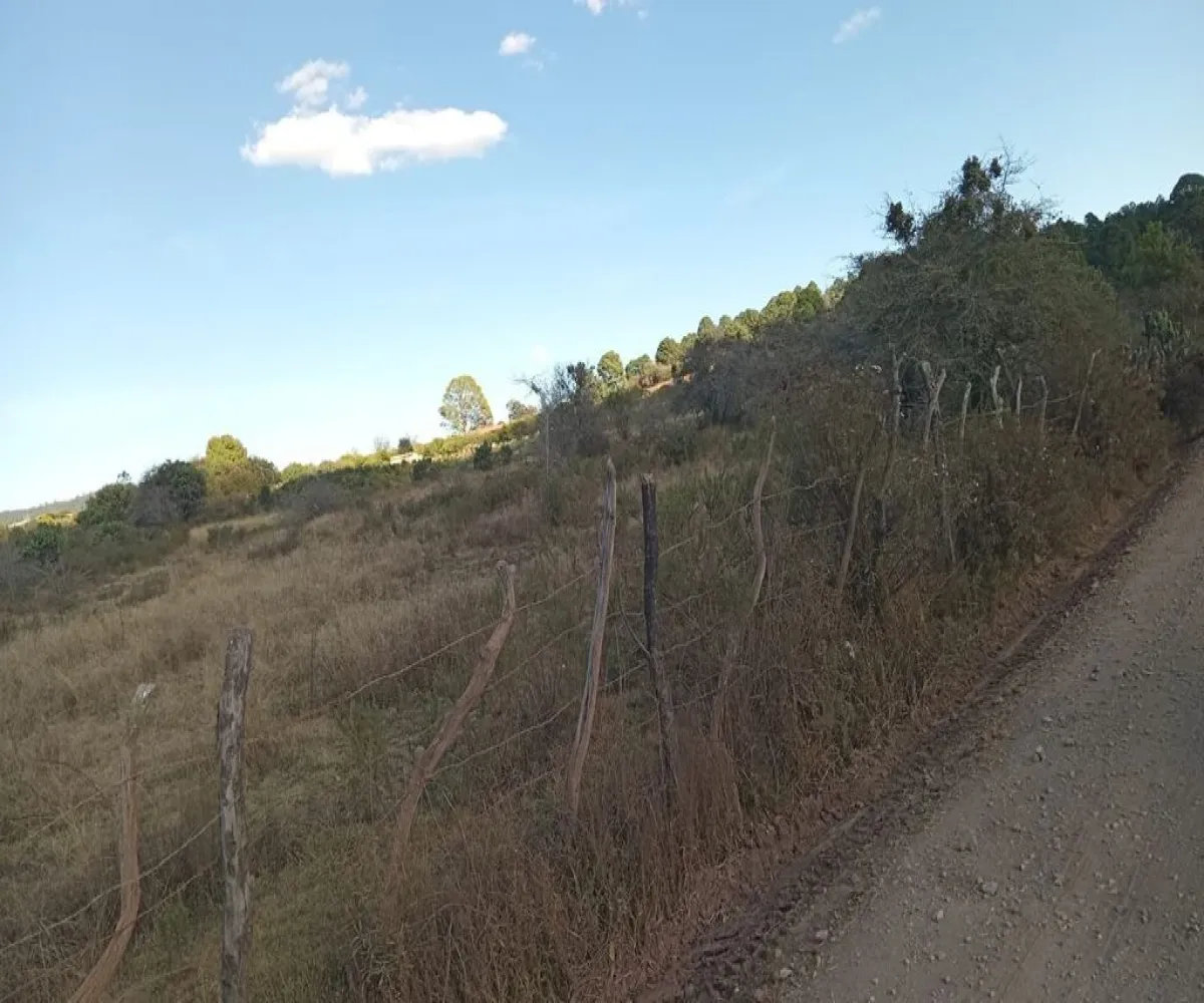 Terreno En Venta,Atemajac de Brizuela ,Atemajac de Brizuela Sn Sn, Atemajac de Brizuela, Jalisco 45790,Atemajac de Brizuela ,pA92lxU