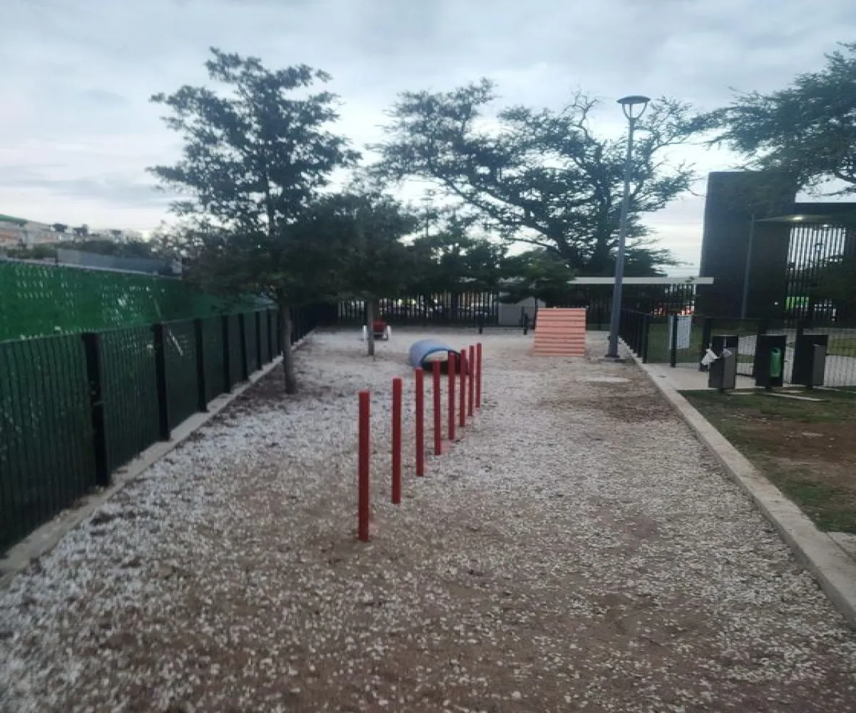 Departamento En Venta,Margarita Maza de Juárez,Avenida Belisario Domínguez 3500 1505, Guadalajara, Jalisco 44300, 2 Habitaciones,2 Baños,Avenida Belisario Domínguez,1,p2kjmfY