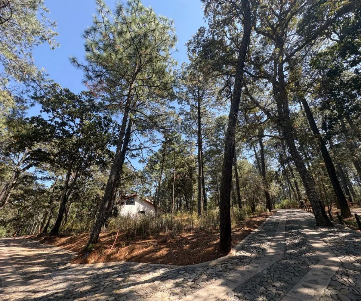 Terreno En Venta,Tapalpa 00, Tapalpa, Jalisco 49340,Tapalpa ,1,p96f4r7