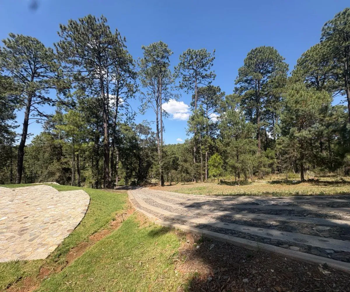 Terreno En Venta,Tapalpa 00, Tapalpa, Jalisco 49340,Tapalpa ,1,p96f4r7