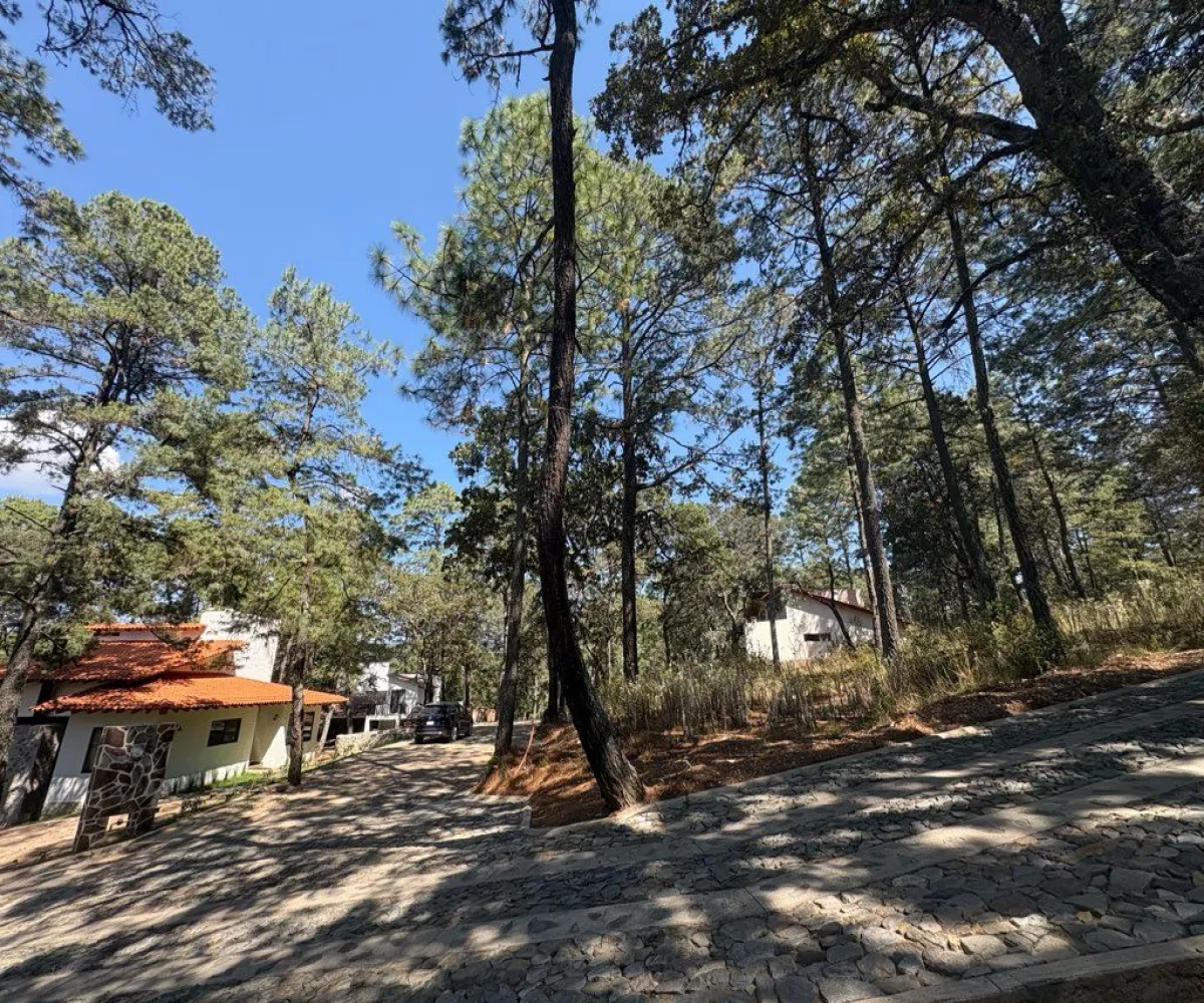 Terreno En Venta,Tapalpa 00, Tapalpa, Jalisco 49340,Tapalpa ,1,p96f4r7