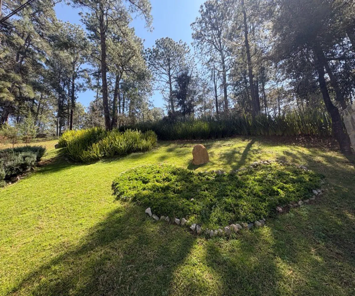 Terreno En Venta,Tapalpa 00, Tapalpa, Jalisco 49340,Tapalpa ,1,p96f4r7