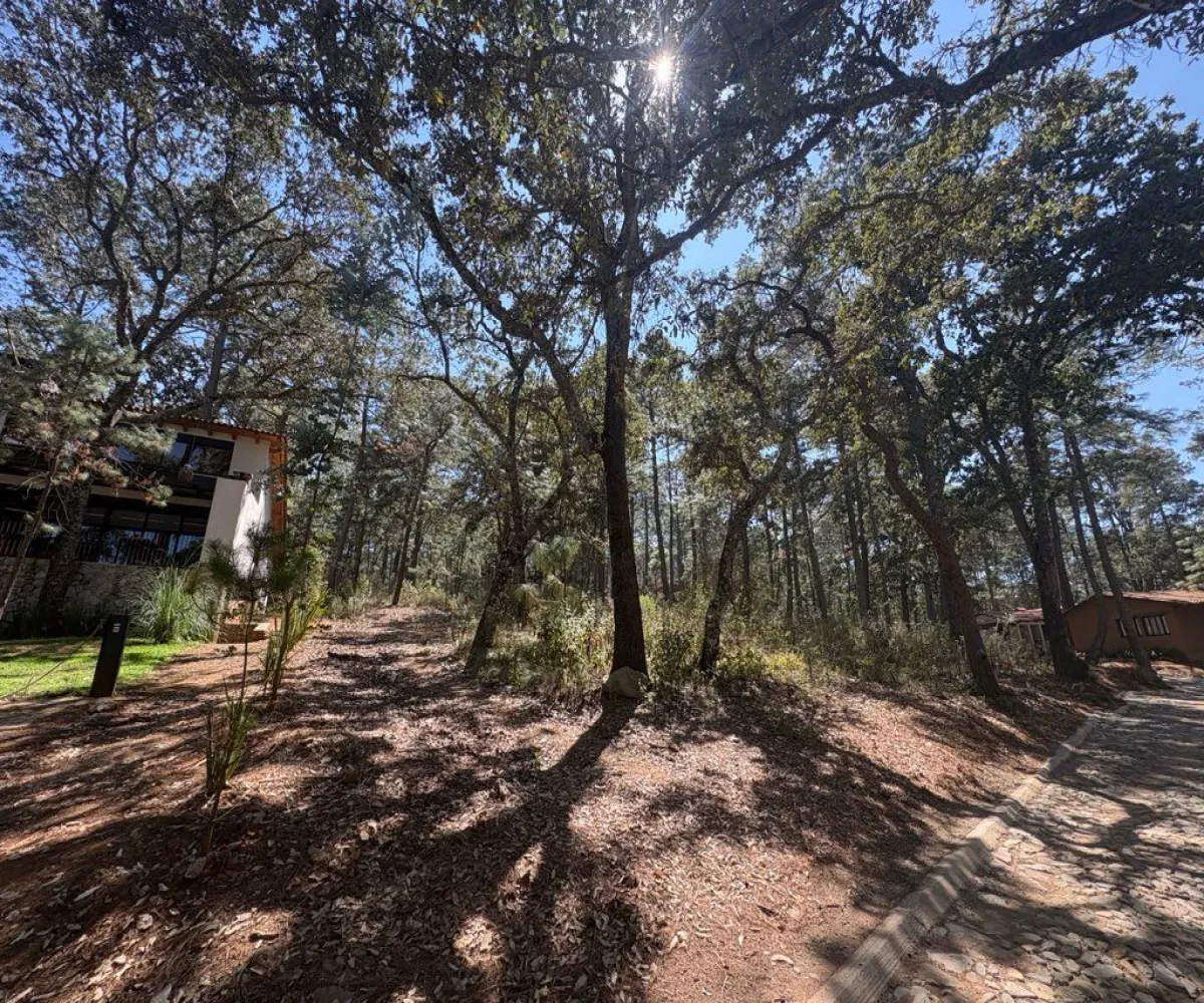 Terreno En Venta,Tapalpa 00, Tapalpa, Jalisco 49340,Tapalpa ,1,p96f4r7