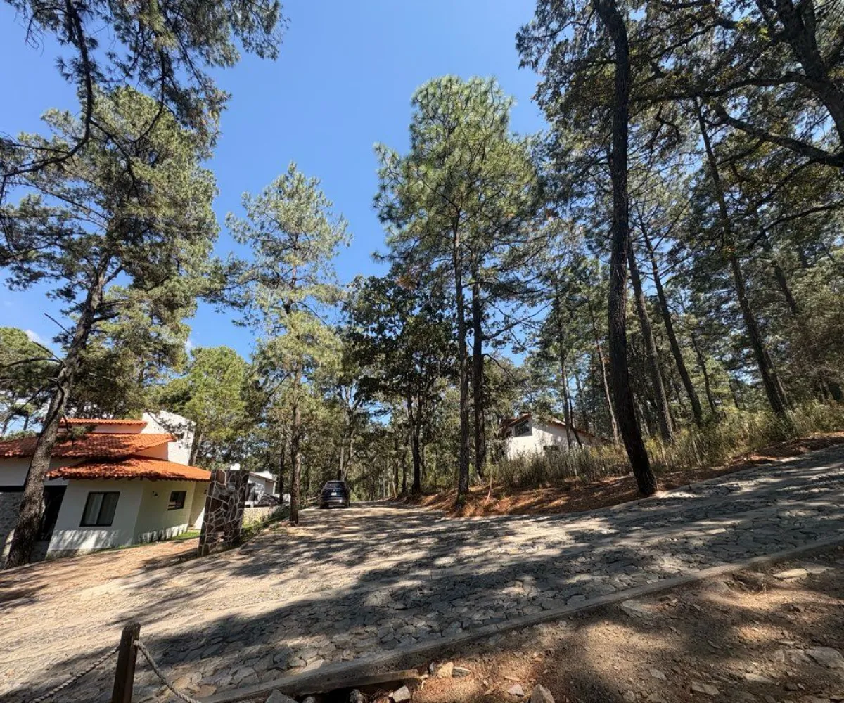 Terreno En Venta,Tapalpa 00, Tapalpa, Jalisco 49340,Tapalpa ,1,p96f4r7