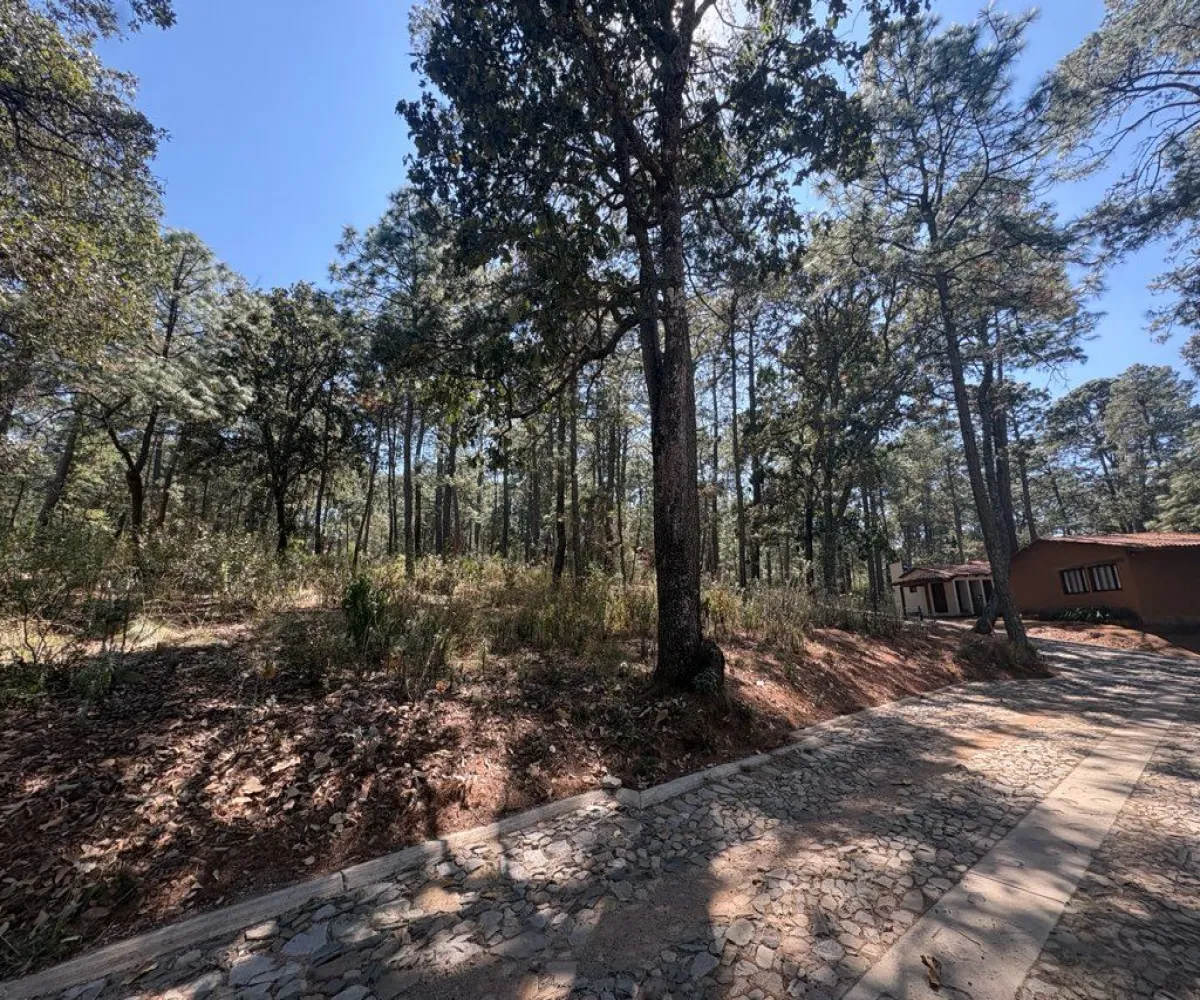 Terreno En Venta,Tapalpa 00, Tapalpa, Jalisco 49340,Tapalpa ,1,p96f4r7