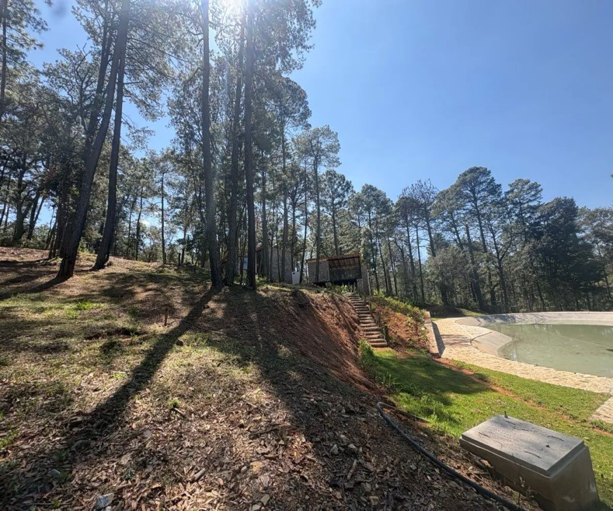 Terreno En Venta,Tapalpa 00, Tapalpa, Jalisco 49340,Tapalpa ,1,p96f4r7