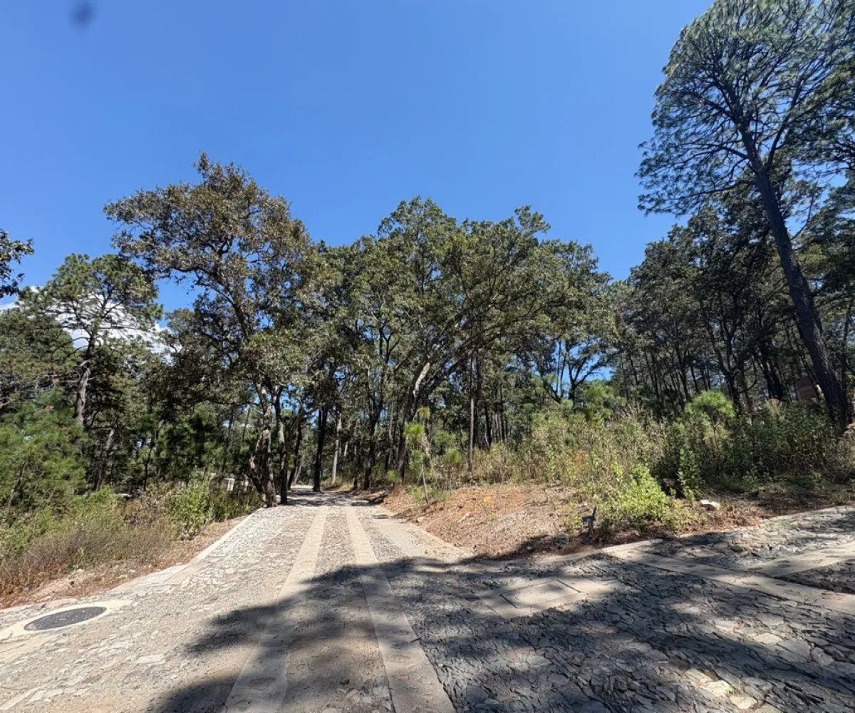 Terreno En Venta,Tapalpa 00, Tapalpa, Jalisco 49340,Tapalpa ,1,pWAYXRN