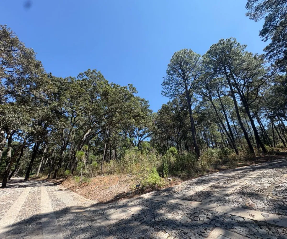 Terreno En Venta,Tapalpa 00, Tapalpa, Jalisco 49340,Tapalpa ,1,pWAYXRN