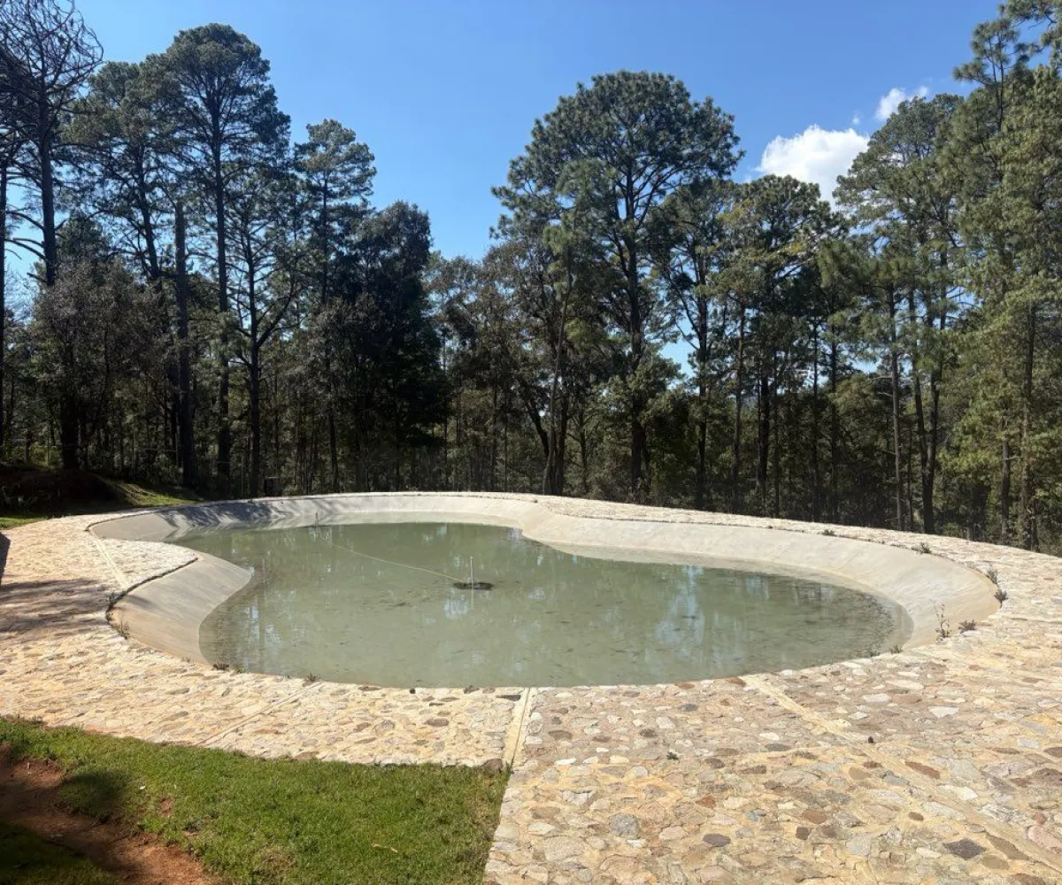 Terreno En Venta,Tapalpa 00, Tapalpa, Jalisco 49340,Tapalpa ,1,pWAYXRN