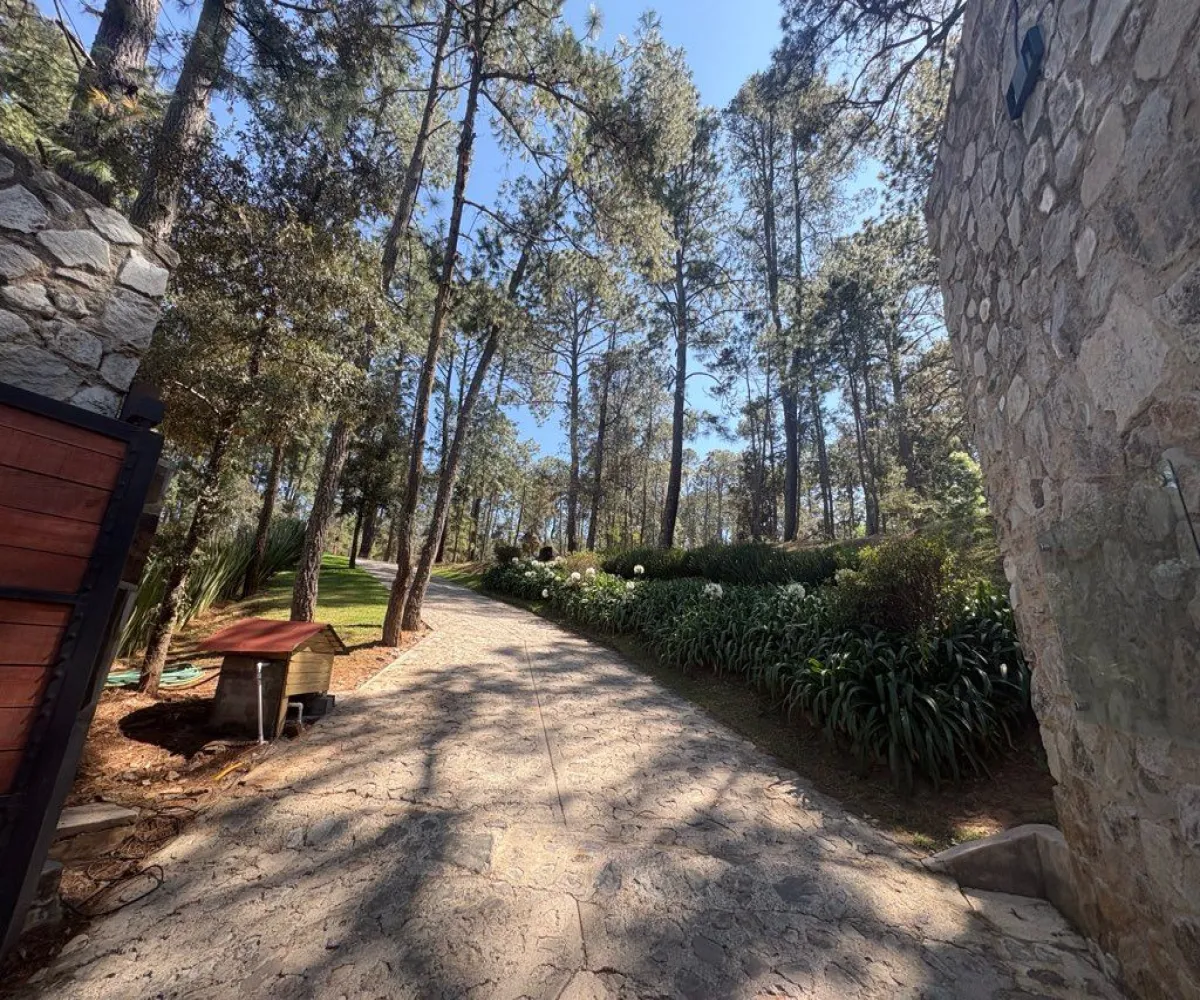 Terreno En Venta,Tapalpa 00, Tapalpa, Jalisco 49340,Tapalpa ,1,pWAYXRN