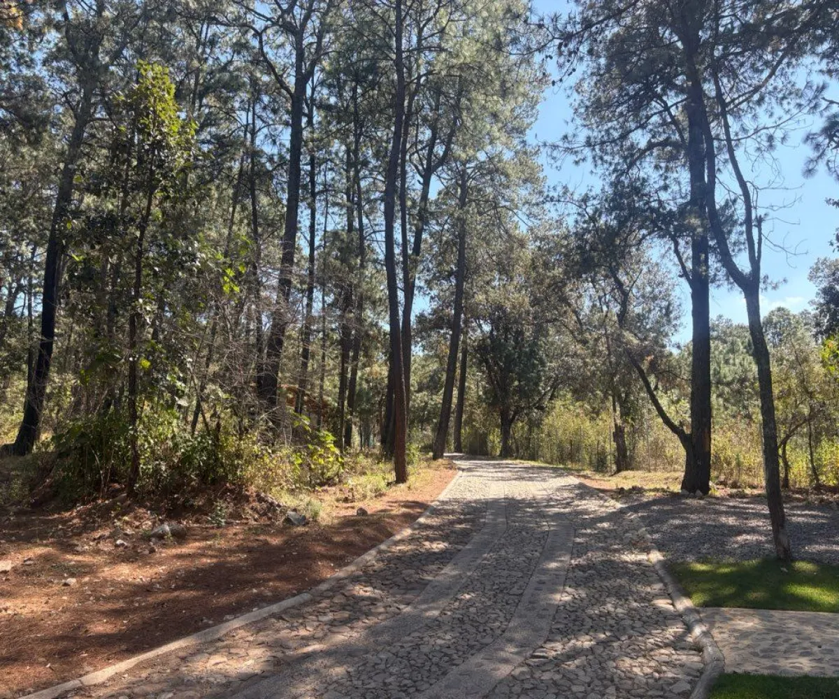 Terreno En Venta,Tapalpa 00, Tapalpa, Jalisco 49340,Tapalpa ,1,pWAYXRN