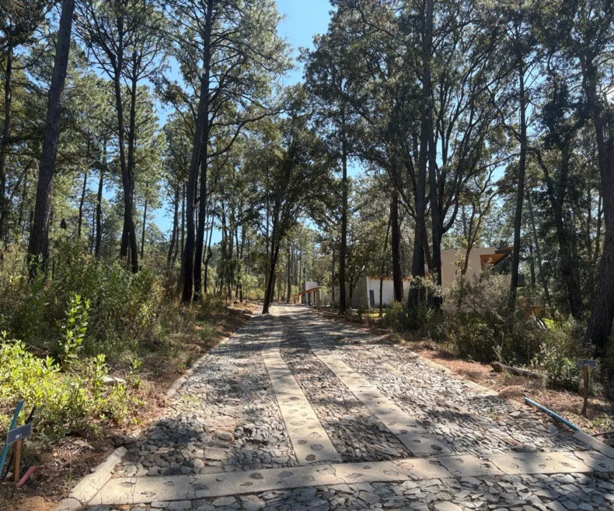 Terreno En Venta,Tapalpa 00, Tapalpa, Jalisco 49340,Tapalpa ,1,pWAYXRN