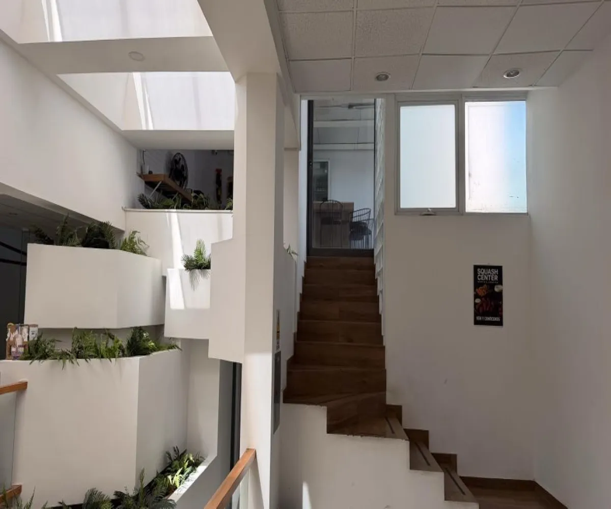 Local En Renta,Ladron De Guevara,Avenida México 2534, Guadalajara, Jalisco 44600,1 Baño,Avenida México,1,p6hMSO9