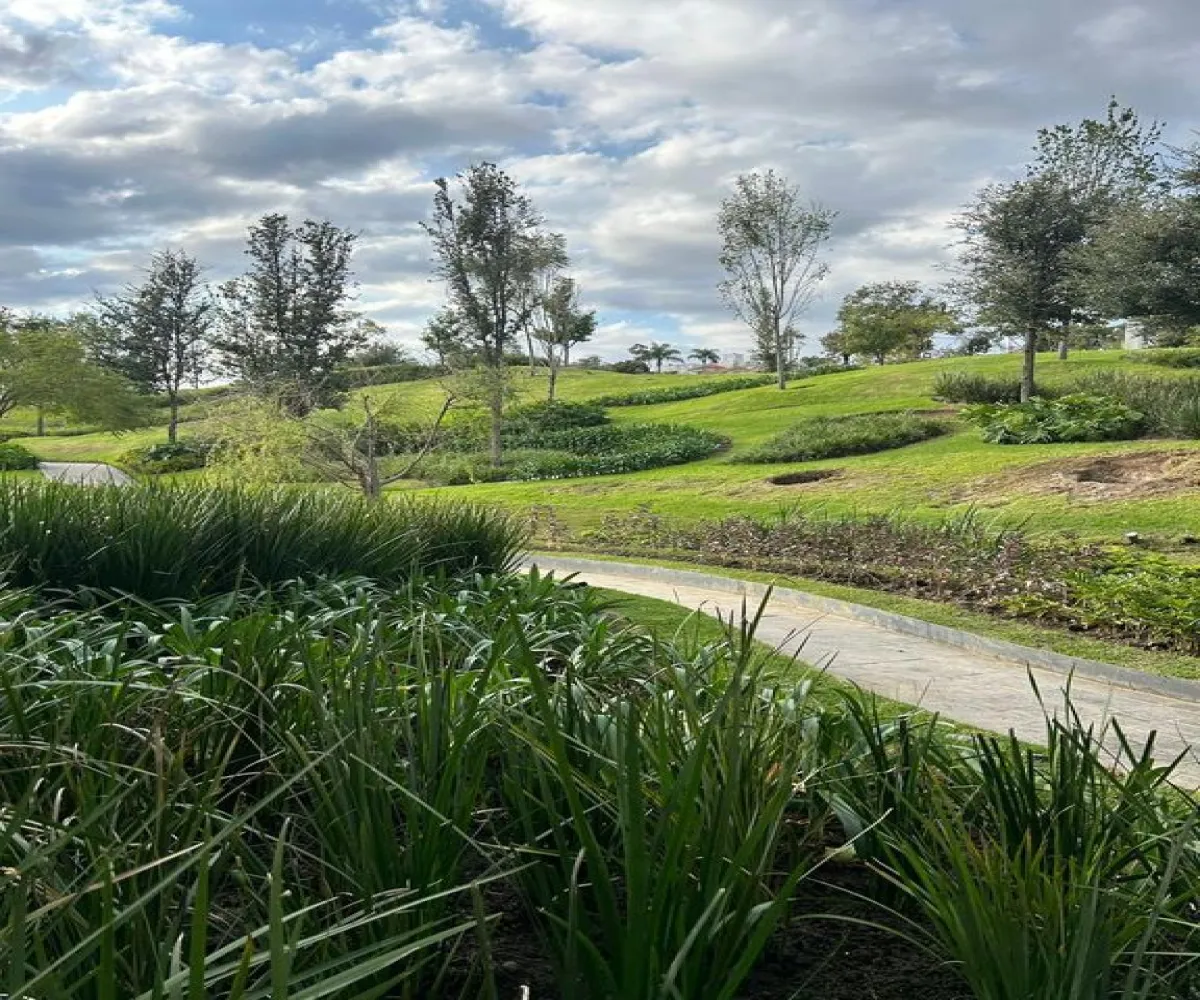 Departamento En Renta,Puerta Plata,Avenida Universidad 1000, Zapopan, Jalisco 45110, 2 Habitaciones,2 Baños,Avenida Universidad,1,pgCsHMS