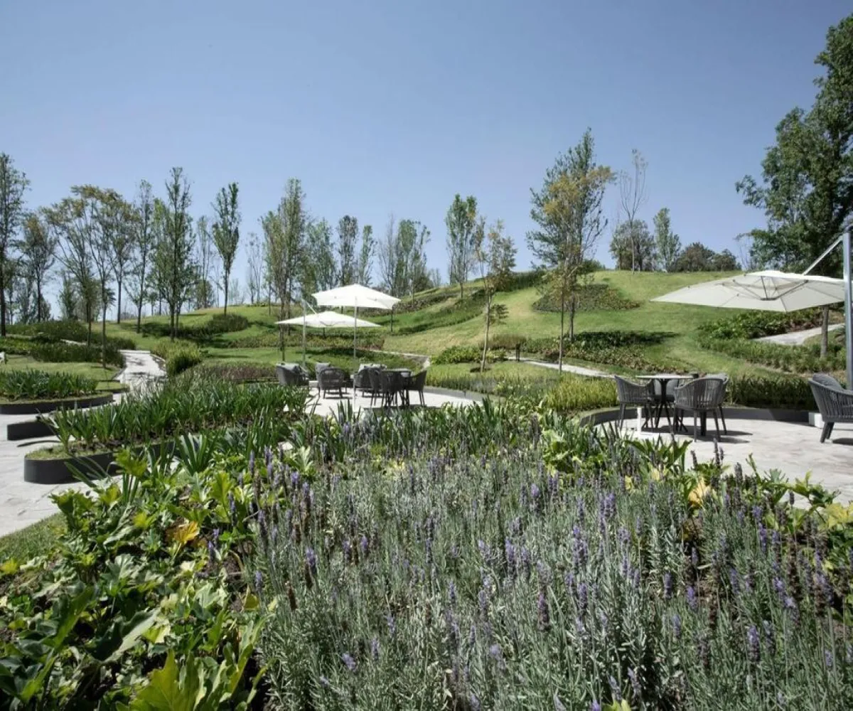 Departamento En Renta,Puerta Plata,Avenida Universidad 1000, Zapopan, Jalisco 45110, 2 Habitaciones,2 Baños,Avenida Universidad,1,poJQq1m