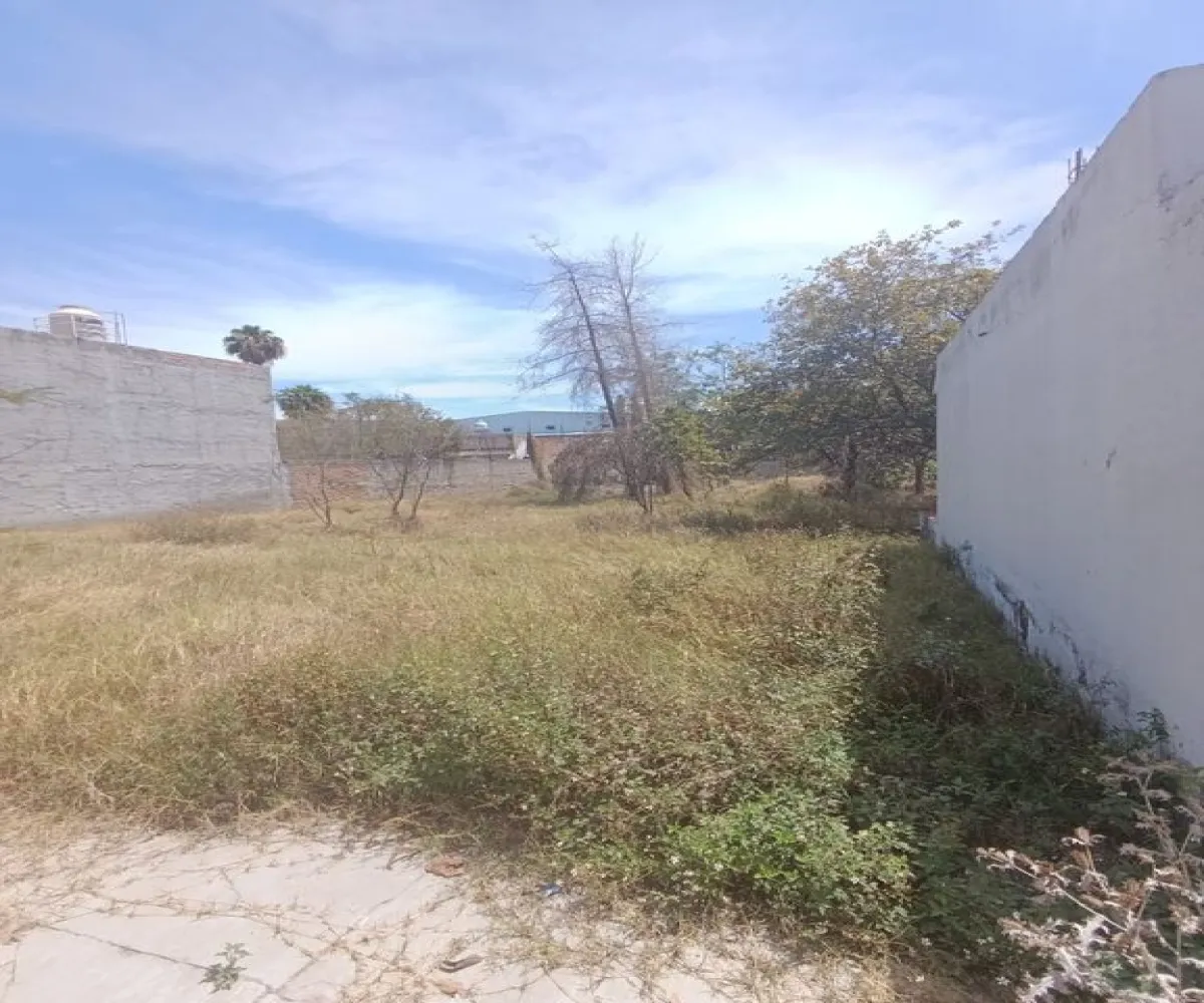 Terreno En Renta,El Vergel,Calle Jilguero 853, San Pedro Tlaquepaque, Jalisco 45595,Calle Jilguero,pJSmkdU