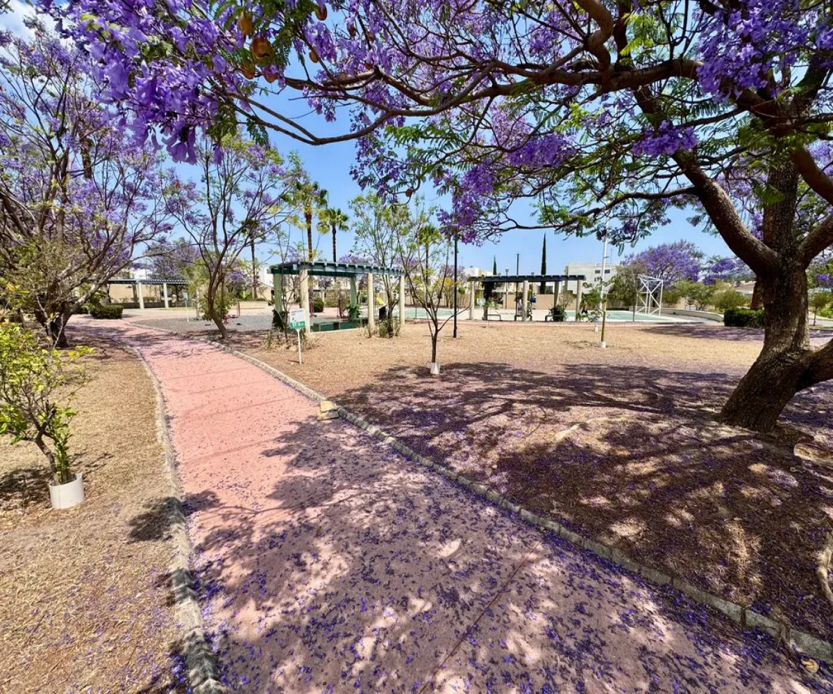 Casa En Venta,El Fortín,Calle Álamo 1359, Zapopan, Jalisco 45066, 3 Habitaciones,2 Baños,Calle Álamo,2,pBwImp9