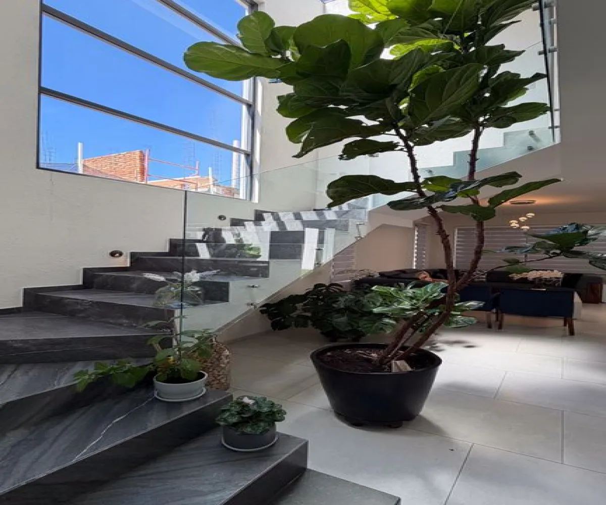 Casa En Renta,Virreyes Residencial ,Entrelomas 106, Zapopan, Jalisco 45110, 3 Habitaciones,4 Baños,Entrelomas,1,p1MKBwO