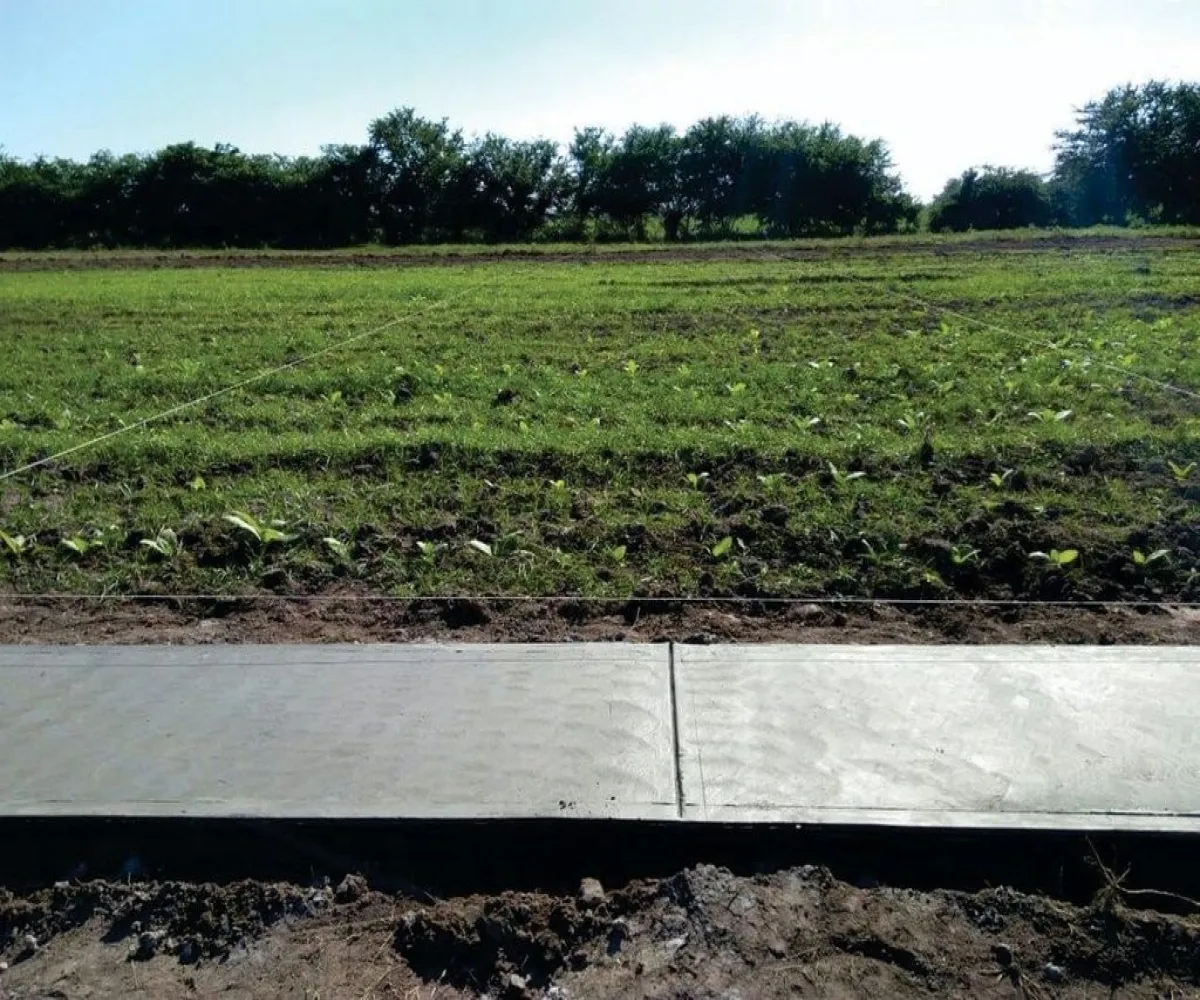 Terreno En Venta,Ángel Flores,Callejon de la vena 2026, Tuxpan, Nayarit 63205,Callejon de la vena ,pLda9c5