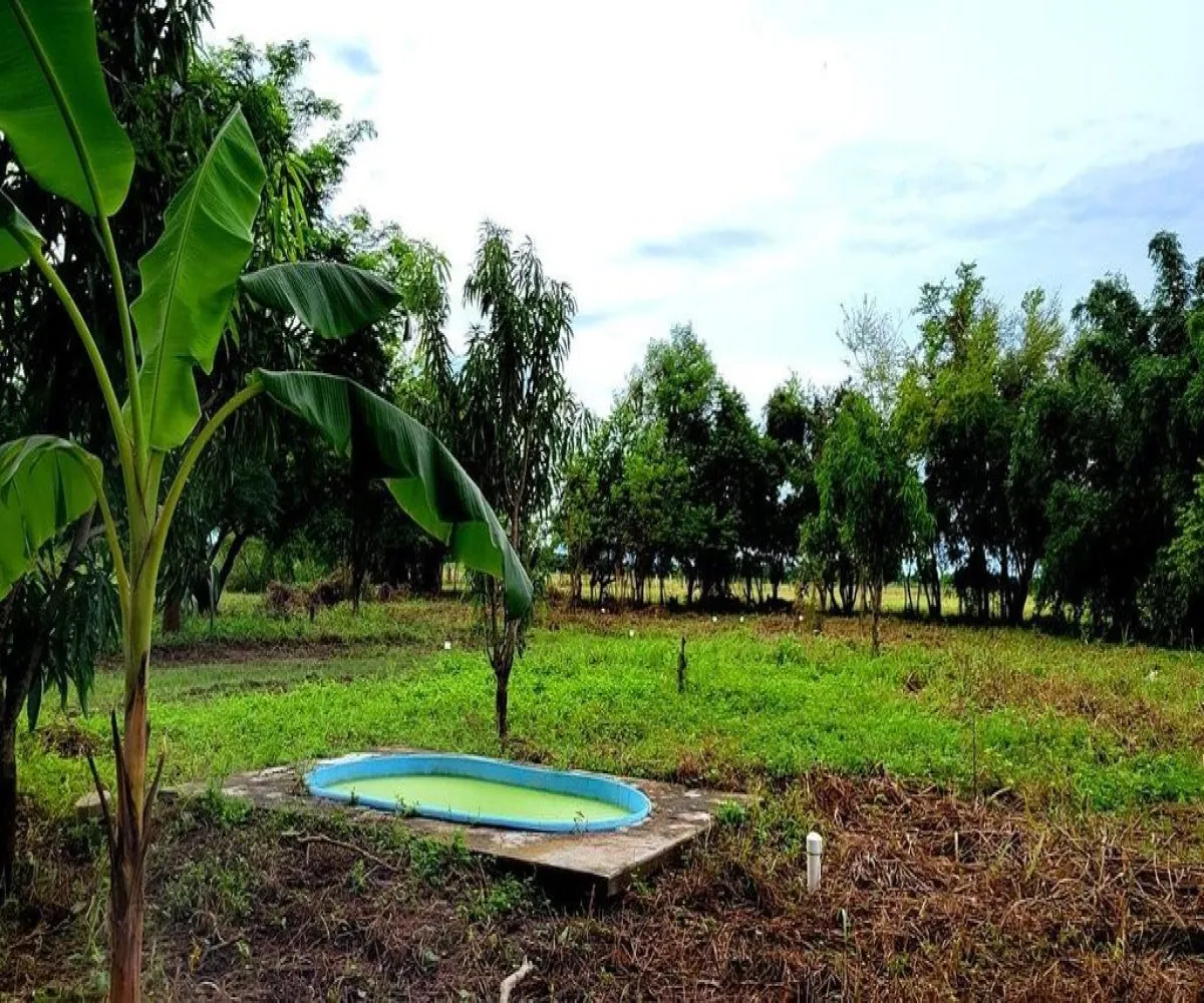 Terreno En Venta,Ángel Flores,Callejon de la vena 2026, Tuxpan, Nayarit 63205,Callejon de la vena ,pLda9c5