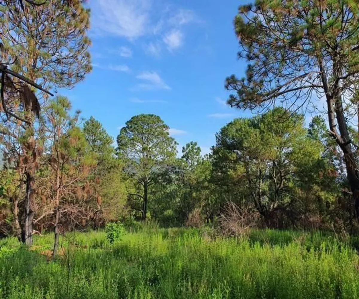 Terreno En Venta,Avenida Brizuela S/N, Atemajac de Brizuela, Jalisco 45790,Avenida Brizuela,pwXkKEb