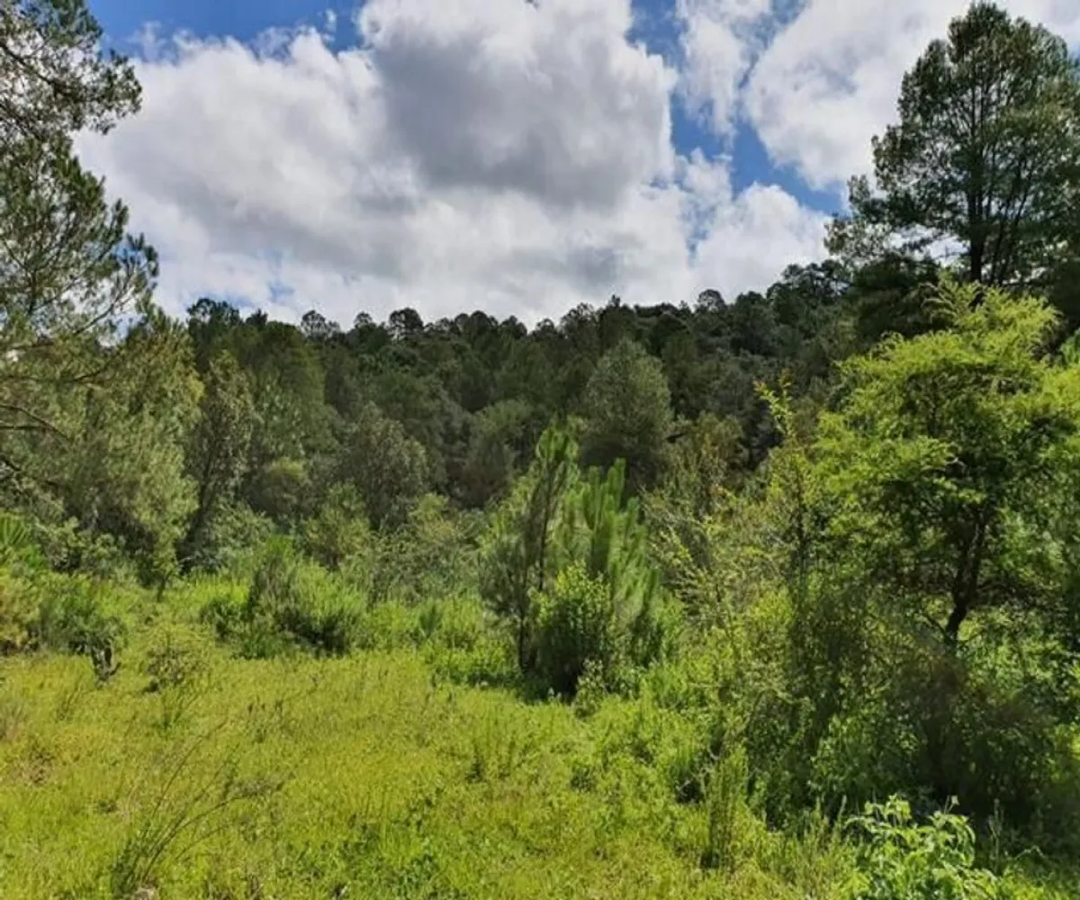 Terreno En Venta,Avenida Brizuela S/N, Atemajac de Brizuela, Jalisco 45790,Avenida Brizuela,pwXkKEb