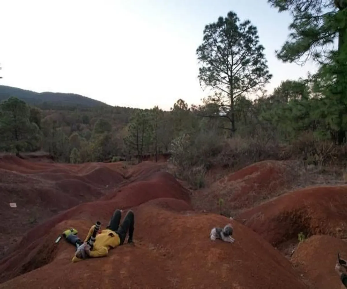 Terreno En Venta,Avenida Brizuela S/N, Atemajac de Brizuela, Jalisco 45790,Avenida Brizuela,pwXkKEb